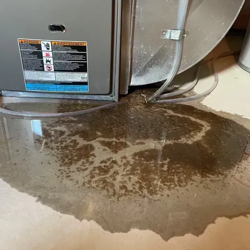 Appliance Leak Cleanup in Inverness, CO